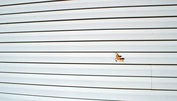 Best Residential Vinyl Siding Installation  in Goldstream, AK
