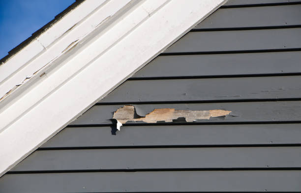 Best Steel Siding Installation  in Goldstream, AK