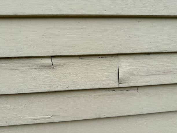Custom Trim and Detailing for Siding in Goldstream, AK